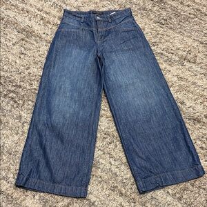 Banana Republic Dark Blue wide leg Jeans sz 26/2 petite